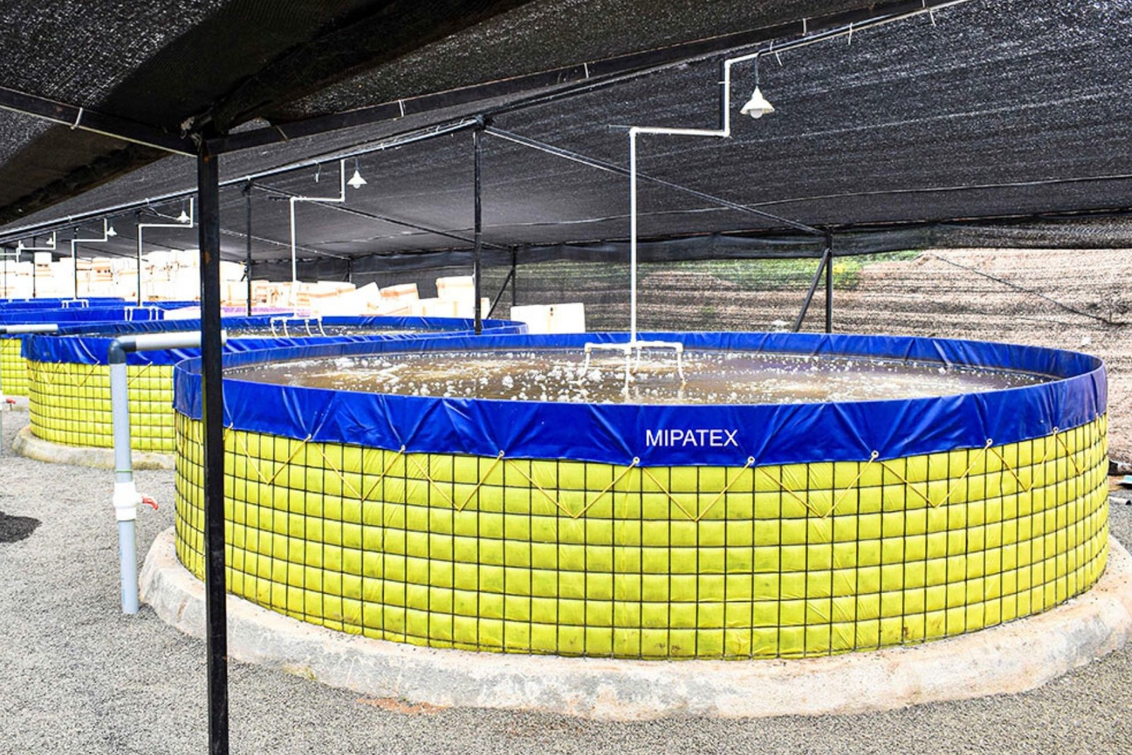 MIPATEX Geo Line Tank liner for biofloc aquaculture and water storage